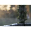 Girlang Gnosjö Konstsmide 5m Batteridriven Slinga 60st LED-lampor Utomhus