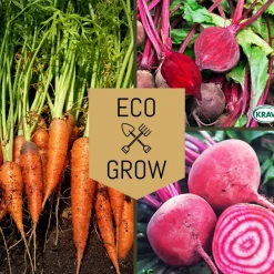 Grönsaksfröer Eco Grow Rotfruktskit Favoriter för Odling 3-pack
