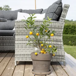 Hörnsoffa Venture Home London Utomhus UtomhusGrå