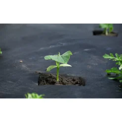 Jordgubbsduk Jabo Agrimpex med Förskurna Hål 1,2x10 m