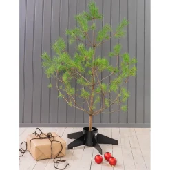 Julgransfot Skotte Garden Linnéa
