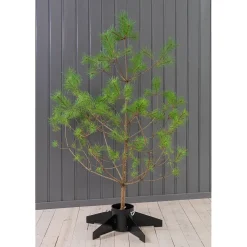 Julgransfot Skotte Garden Linnéa