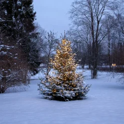 Julgransslinga Star Trading Shiny Warm White