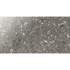 Klinker Bricmate E36 Terrazzo San Polo Polished 30x60 cm