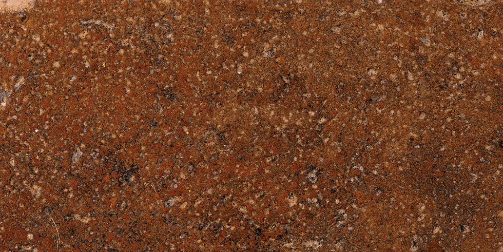 Klinker Lhådös Roma Siena 20x40