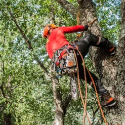 Känga Woodline Lavoro Elite Huggarkänga