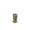 Knopp Theofils 1893 13x23 Mp