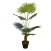Konstväxt Lykke Fan Palm