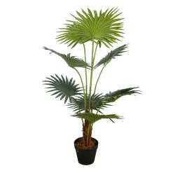 Konstväxt Lykke Fan Palm