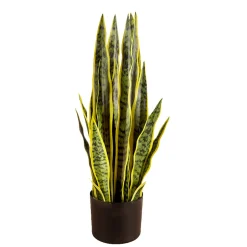 Konstväxt Lykke Snake Plant