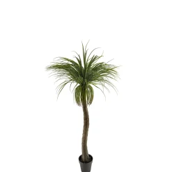 Konstväxt Mr Plant Flasklilja