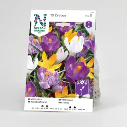 Krokus Nelson Garden Vår Blandade färger
