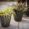 Kruka ArtStone Clarie Svart 27 x 24 cm