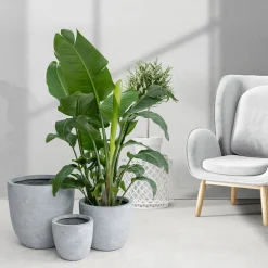 Kruka Lyfco Rund Ljusgrå 3-pack