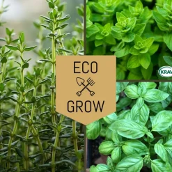 Kryddfröer & örter Eco Grow Medelhavets Smaker Kryddfröer & Örter 3-pack