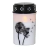 LED-Gravljus Star Trading Dandelion Outdoor