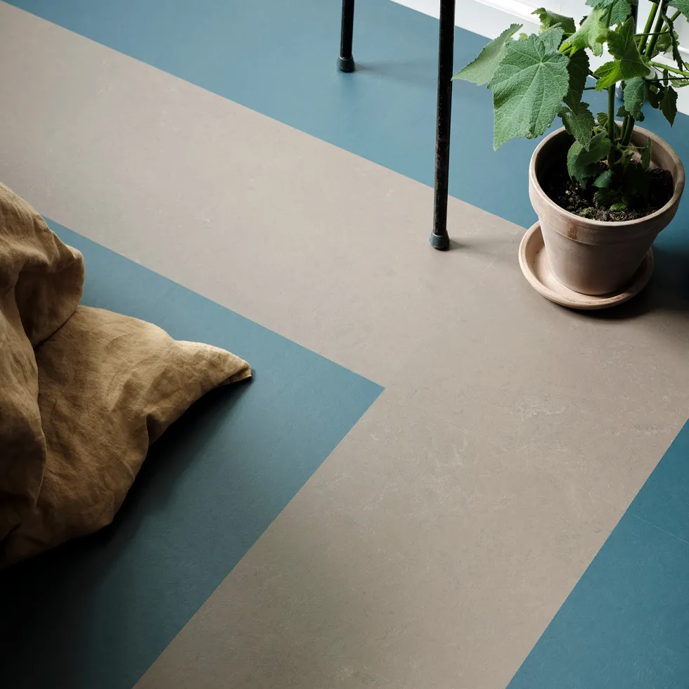 Linoleumgolv Forbo Marmoleum Click Delta Lace 30x30cm med Klicksystem