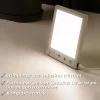 Ljusterapilampa Lykke Pro 1000