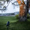 Markspett Spot It Hide-A-Lite Svart