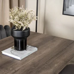 Matgrupp furniture/fashion Madde med 6 Limhamn Light Stolar