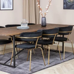 Matgrupp Venture Home Peo med 6 Aris Stolar