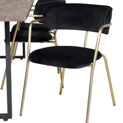 Matgrupp Venture Home Peo med 6 Aris Stolar