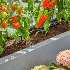 Micro-Drip Gardena Premiumpaket För Terrass med Vattenfördelare & Bevattningsdator