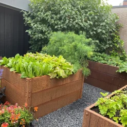 Odlingslåda Flexigarden Cortenplåt 2 mm 800x1200x600 mm