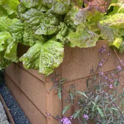 Odlingslåda Flexigarden Cortenplåt 2 mm 800x1200x600 mm