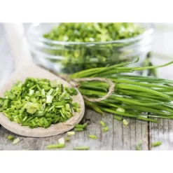 Odlingsmatta Turfquick Gräslök
