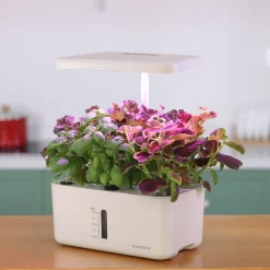 Odlingsset GreenLine Urban Growing P8