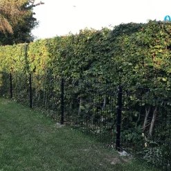 Panelstängsel Hortus med Deko X Svart