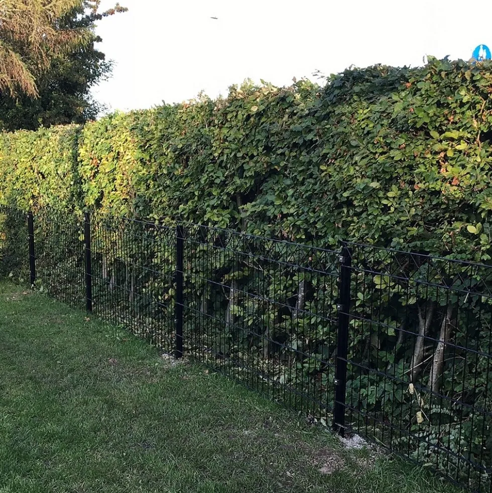 Panelstängsel Hortus med Deko X Svart