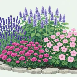 Perenn Omnia Garden Perennpaket Sommarkänsla