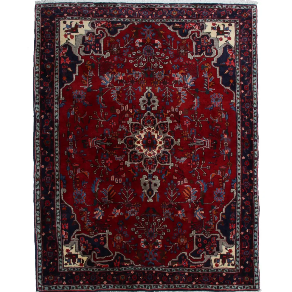 Persisk Matta Arkiio Bidjar 120x157