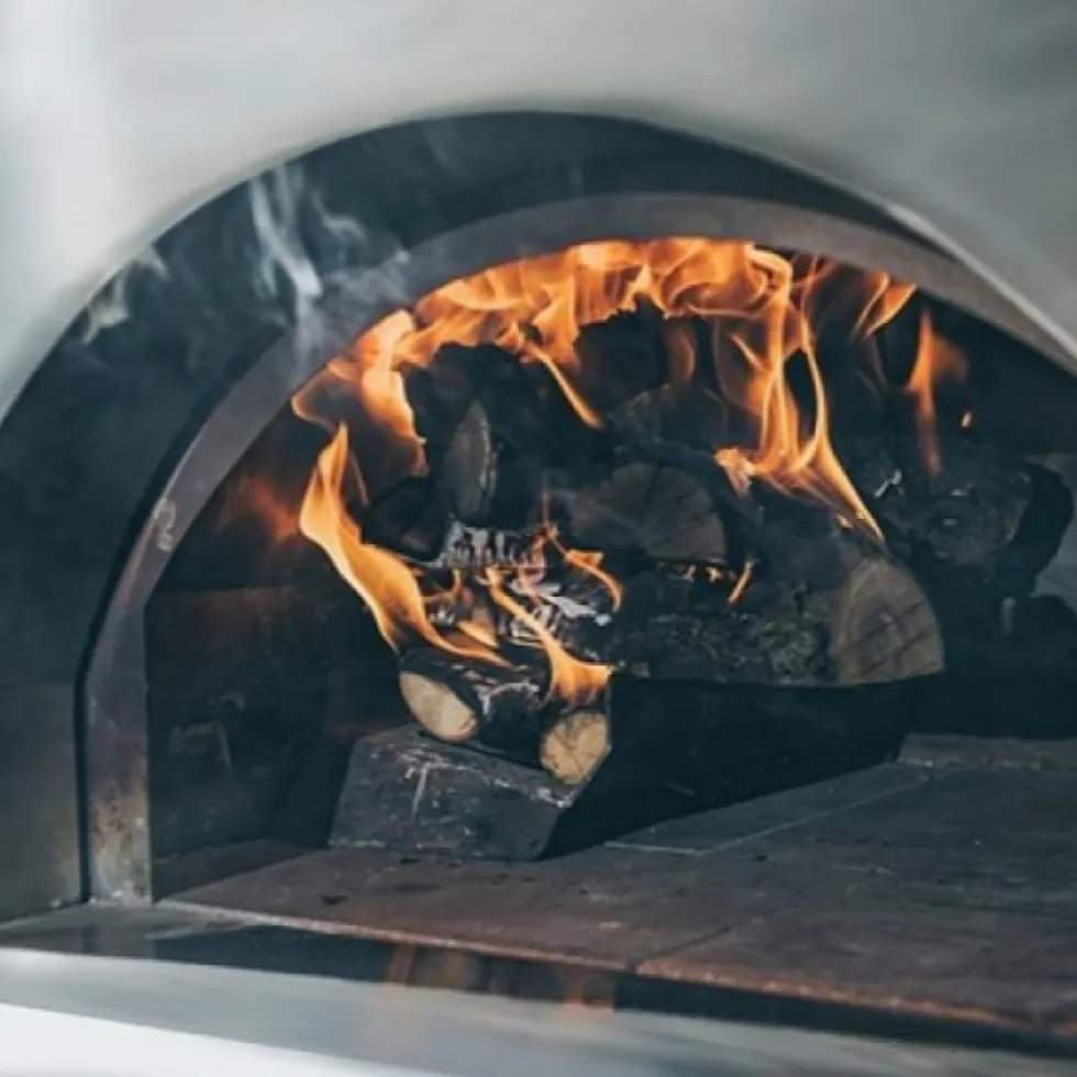 Pizzugn Alfa Forni 5 Minuti