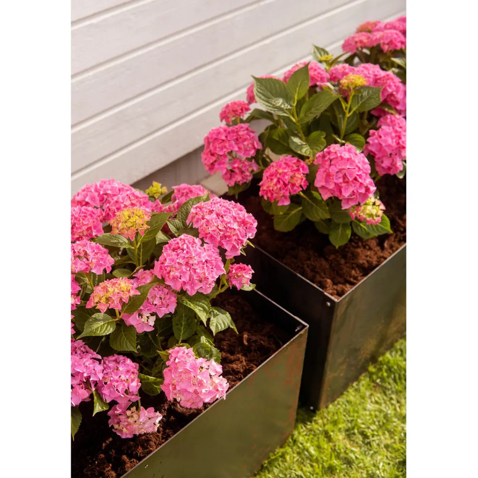 Planteringsbox Jabo Odla 80x40x40 cm
