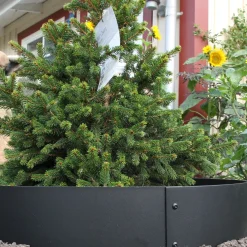 Planteringskant Flexigarden Svart 180 mm Cirkel