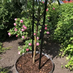 Planteringskant Flexigarden Aluzink 120 mm Hörn Justerbart