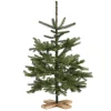 Plastgran Nordic Winter Julgran Danish Collection 100 x 65 cm med Träfot