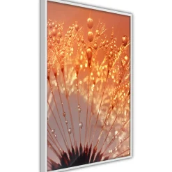 Poster Artgeist Affisch Autumn Dandelion