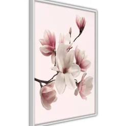 Poster Artgeist Affisch Delicate Magnolias