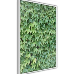Poster Artgeist Affisch Thick Ivy