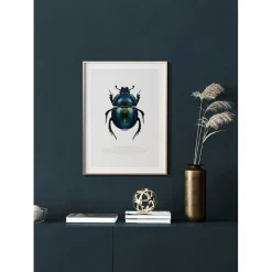 Poster Gallerix Beetle Display