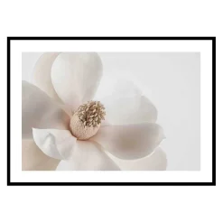 Poster Gallerix Beige Magnolia No1