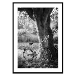 Poster Gallerix Bicycle With Picknick Basket