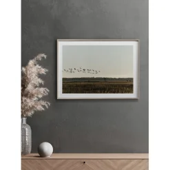 Poster Gallerix Birds Flyby