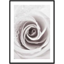 Poster Gallerix Bright Pink Rose No1