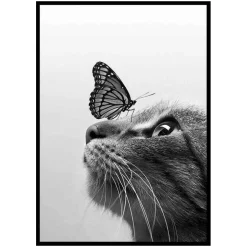 Poster Gallerix Butterfly Cat