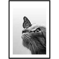 Poster Gallerix Butterfly Cat